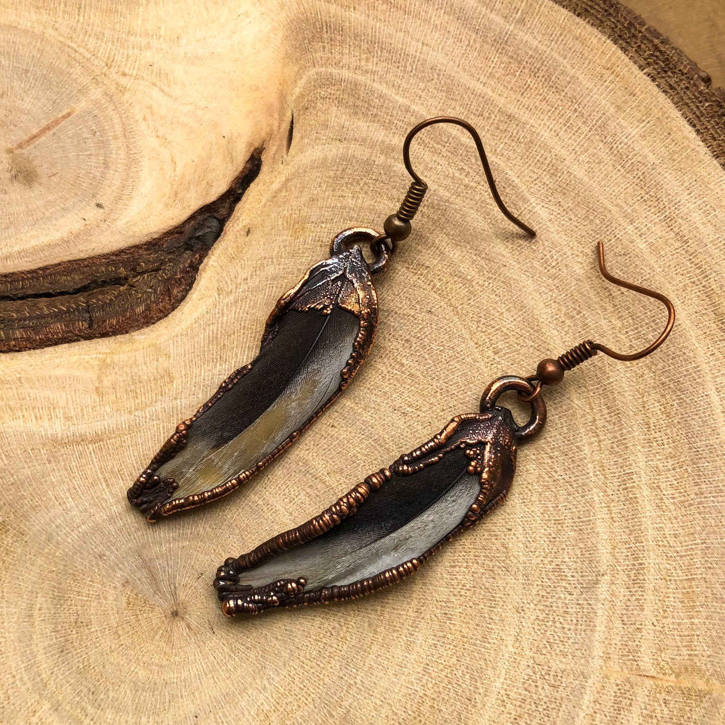 BLACK & WHITE PARROT FEATHER EARRINGS