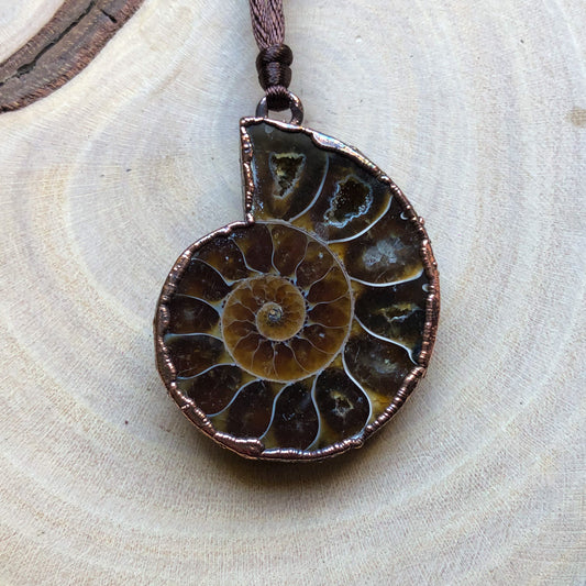 AMMONITE