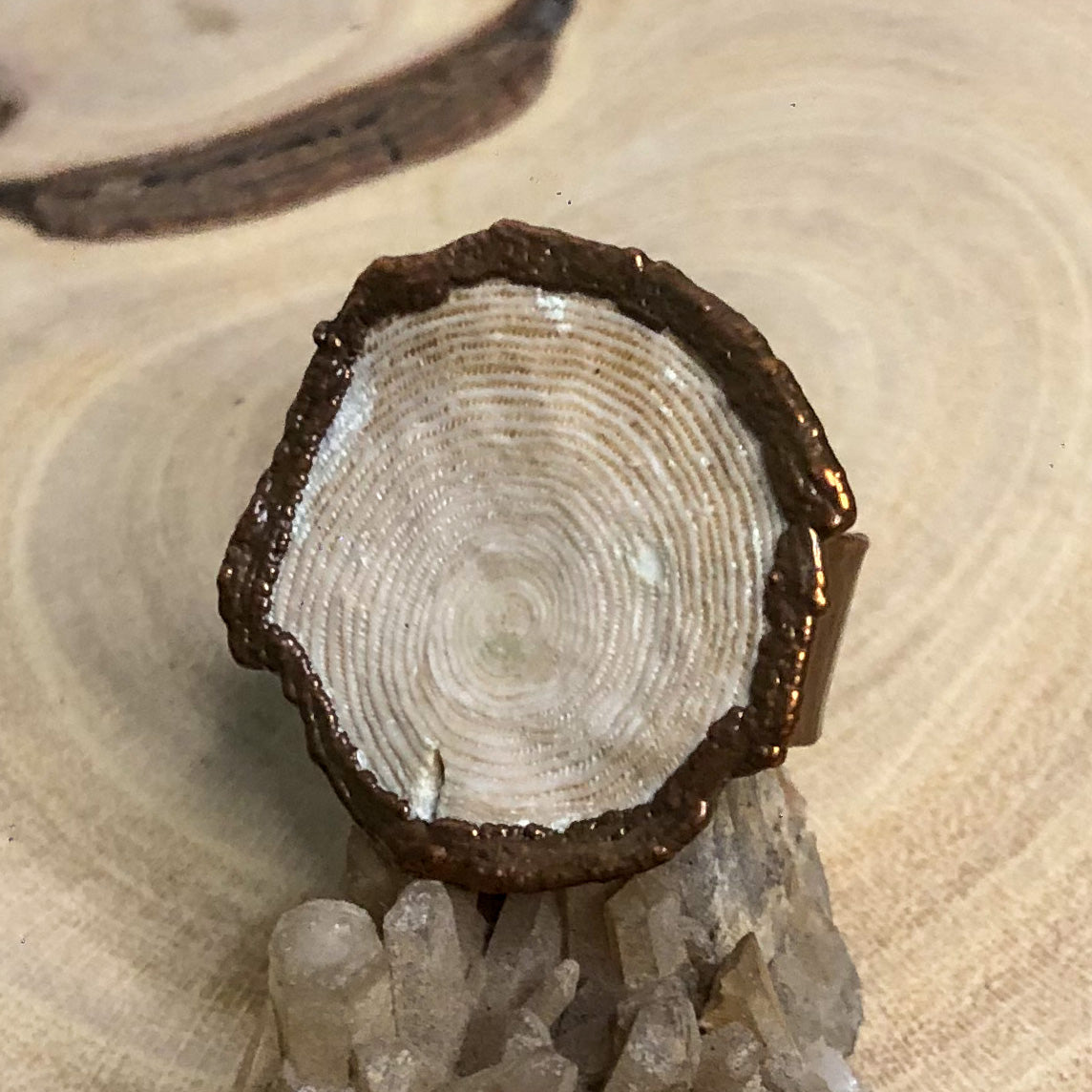 NUMMULITE FOSSIL