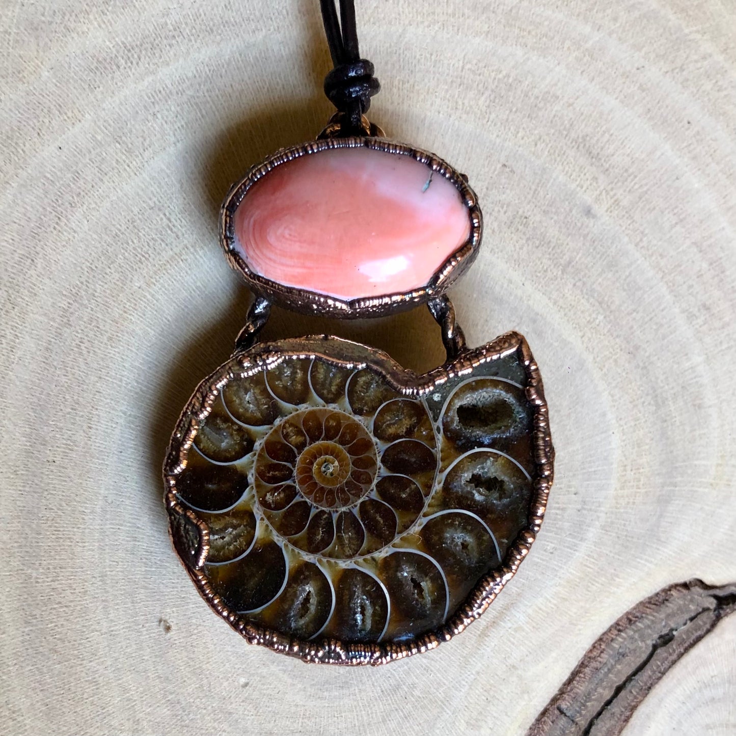 AMMONITE & SEA SHELL