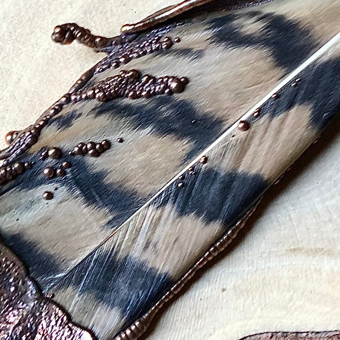 OWL FEATHER