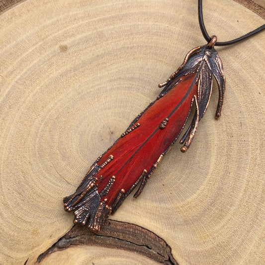 RED PARROT FEATHER