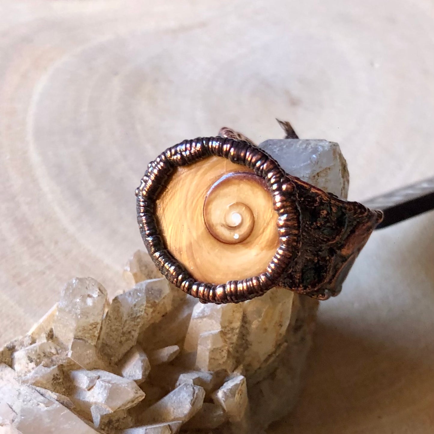 SHIVA EYE SHELL