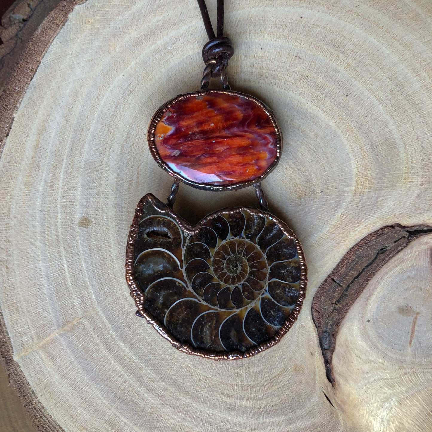 AMMONITE & SPINY OYSTER