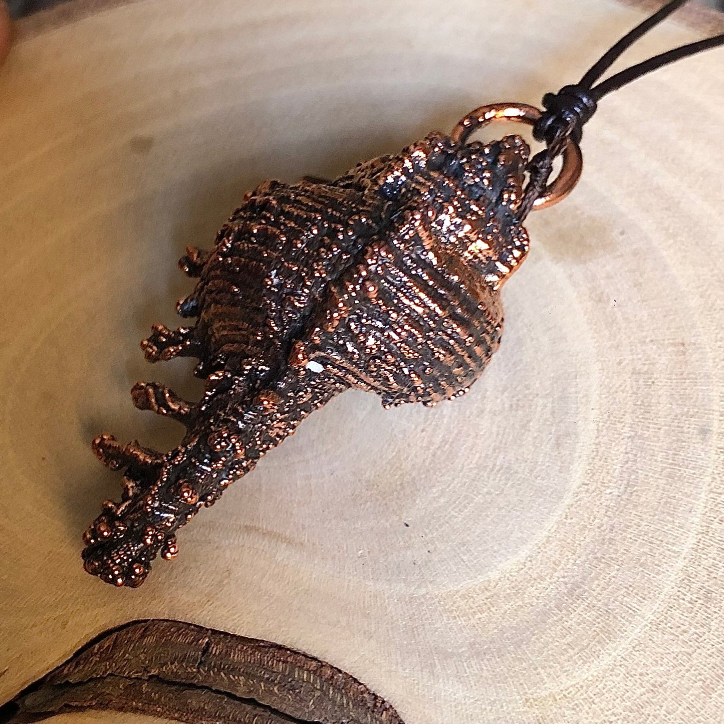 SEASHELL