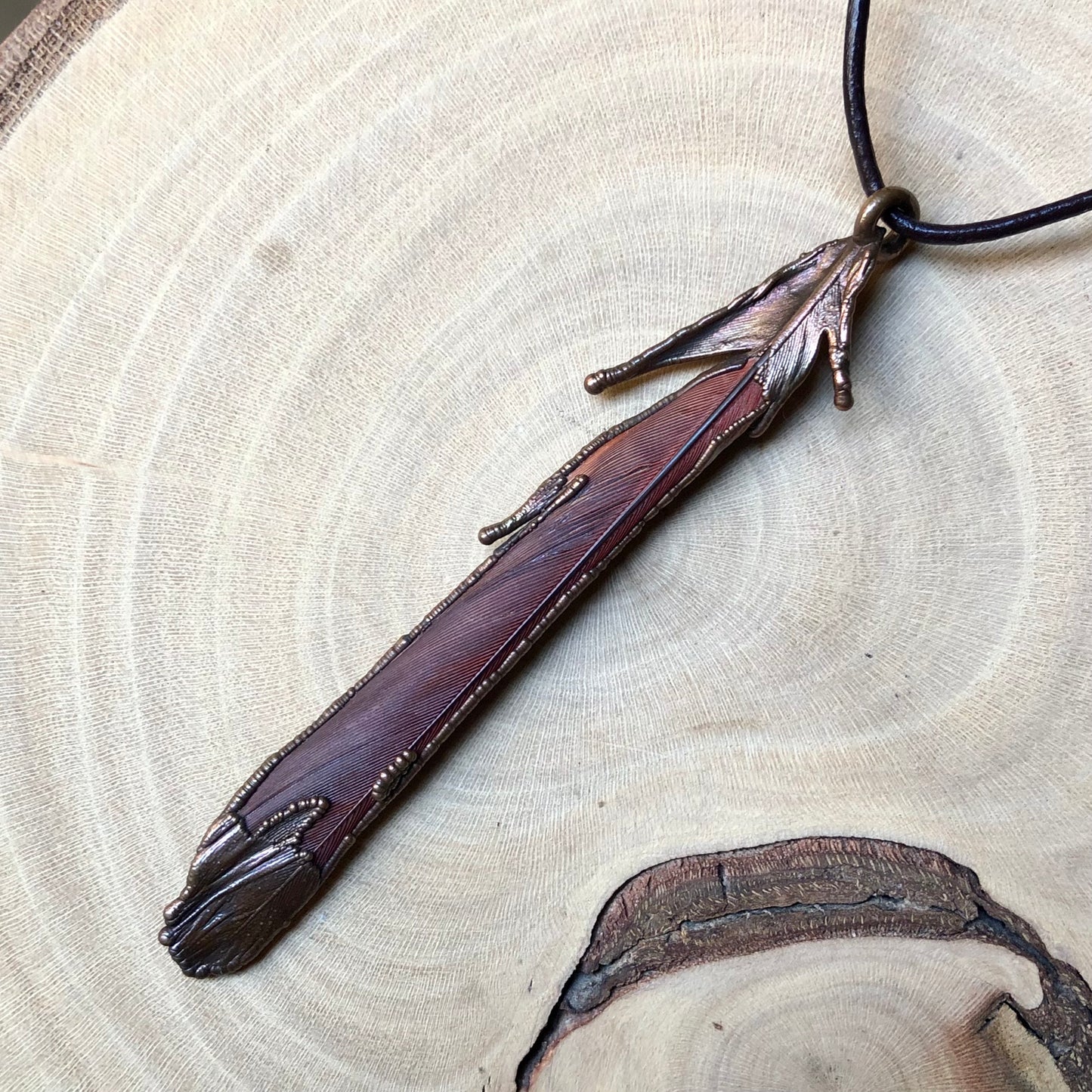 RED PARROT FEATHER