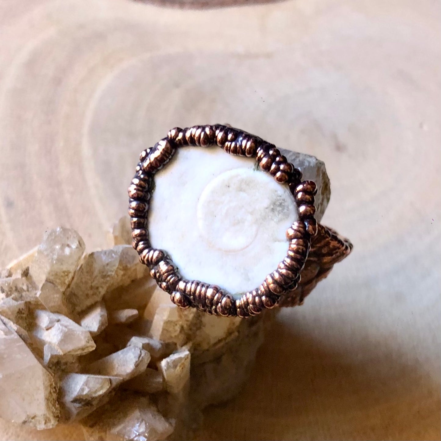 SHIVA EYE SHELL