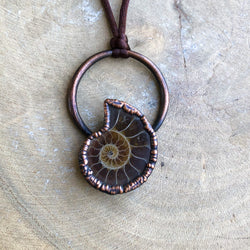 AMMONITE