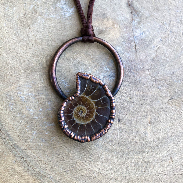 AMMONITE