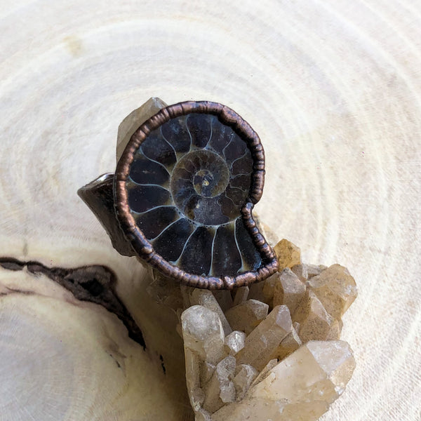 AMMONITE