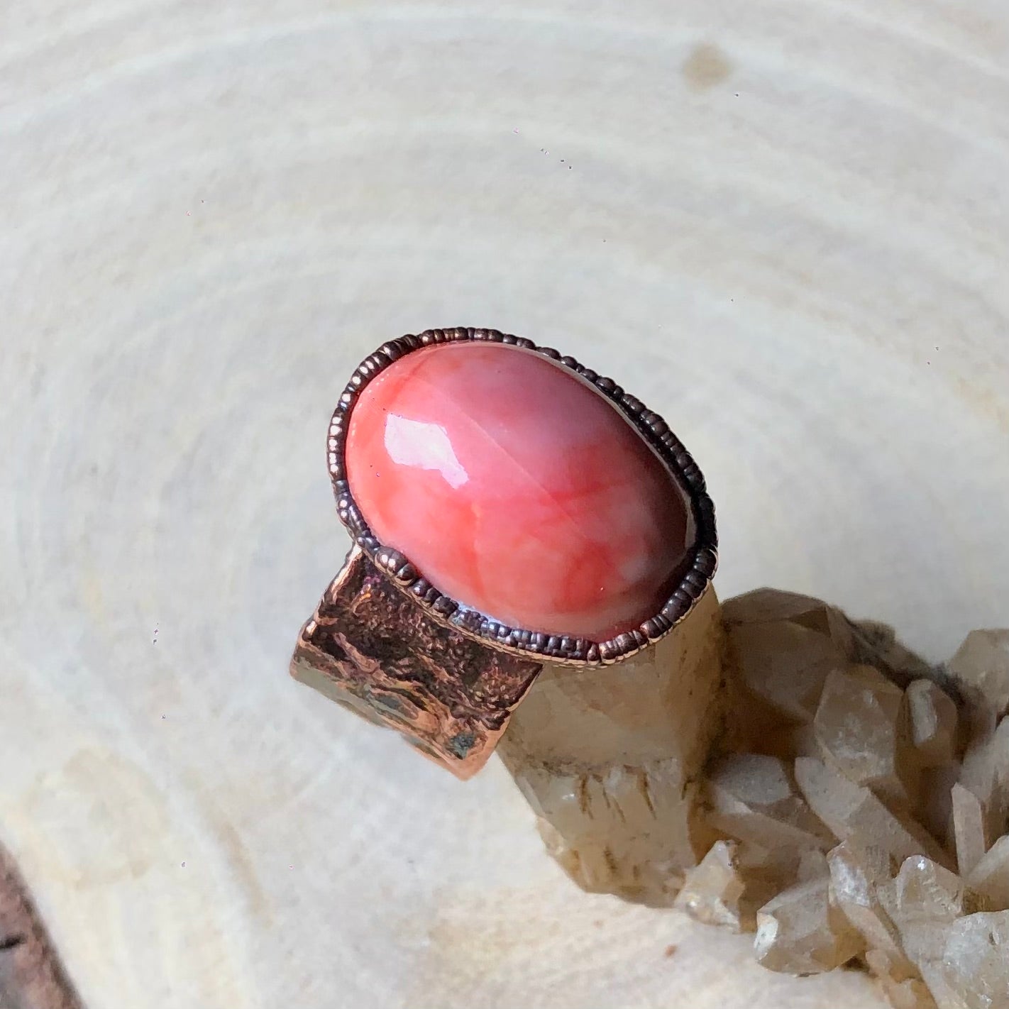 SEA SHELL