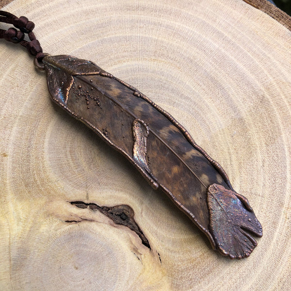 PHEASANT FEATHER