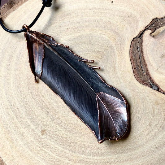 BLACK PARROT FEATHER