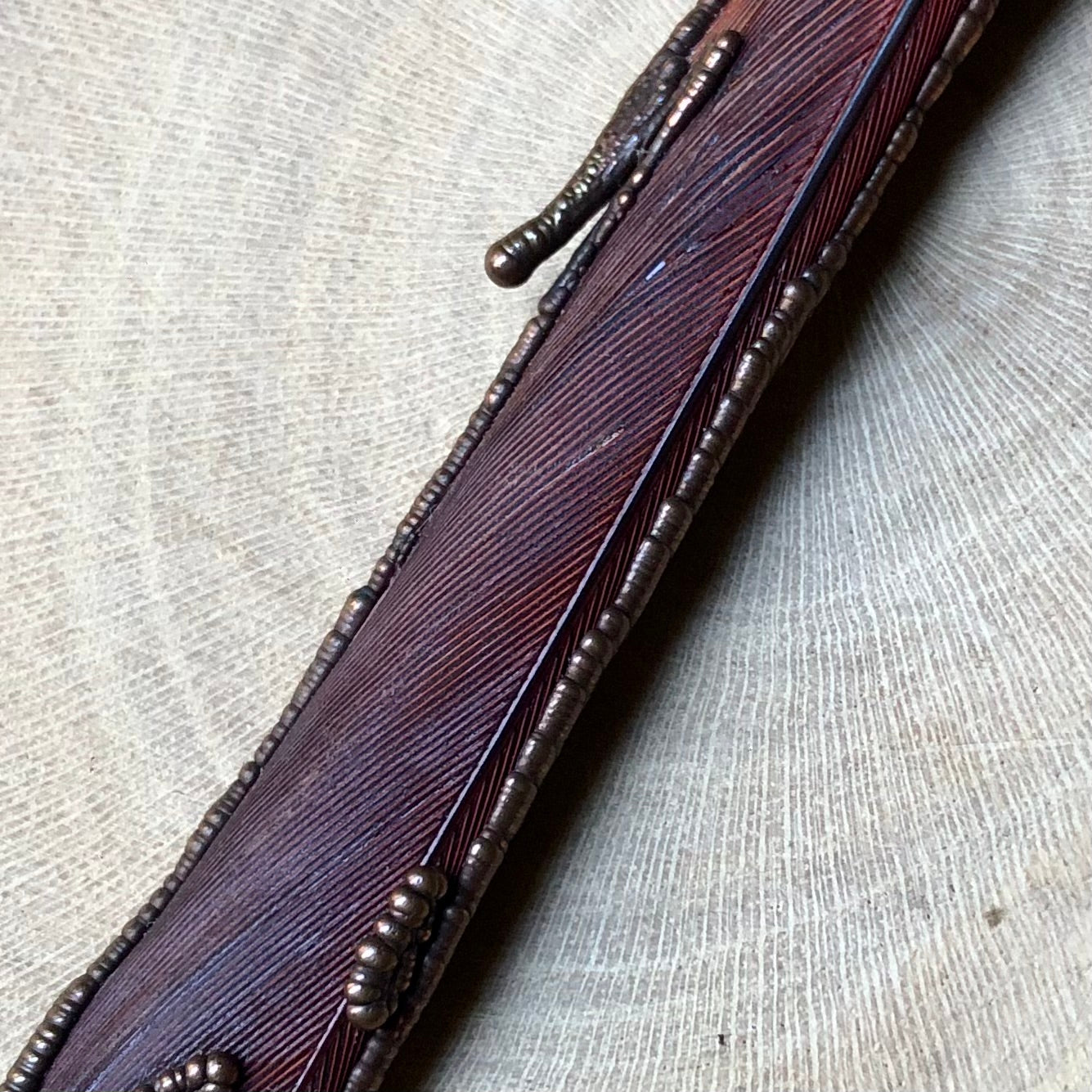 RED PARROT FEATHER
