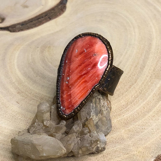 SPINY OYSTER
