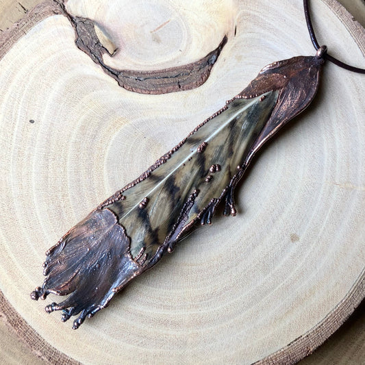 OWL FEATHER