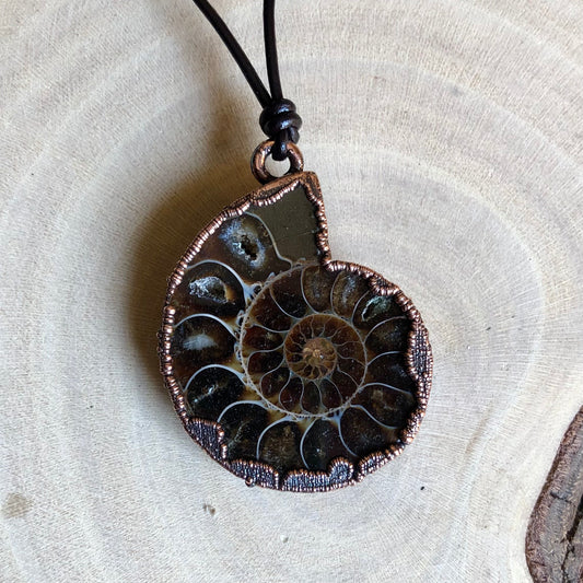 AMMONITE