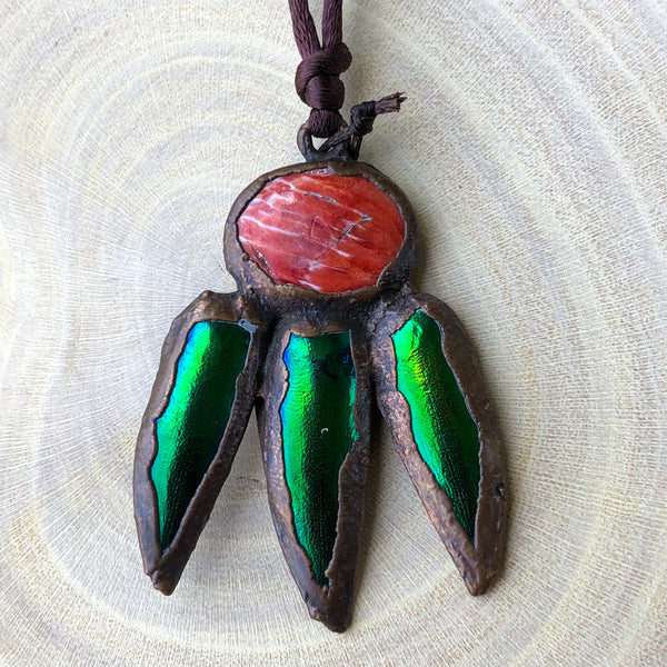 SPINY OYSTER & BEETLE SHELLS